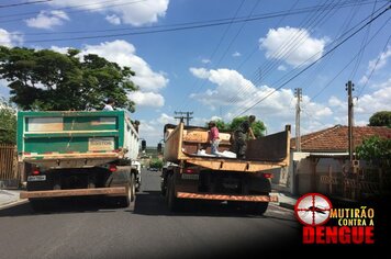 Foto - Mutirão da Limpeza Contra a Dengue