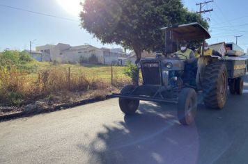 Foto - Mutirão de Limpeza Contra a Dengue - 2021