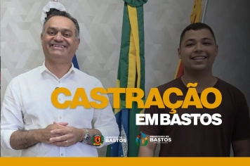 Castração animal