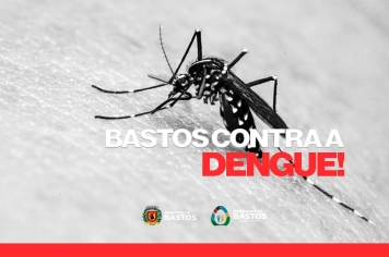 Bastos contra a Dengue
