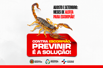 Escorpiões: perigo silencioso