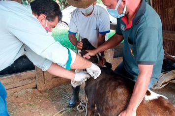 Produtor rural cuide do seu rebanho