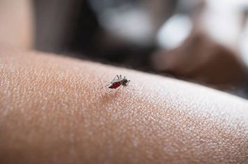Bastos participa da Semana Estadual de Combate ao Aedes aegypti