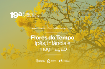 Semana dos Museus